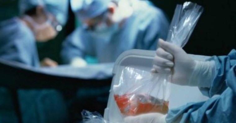 5 адамның өмірін бір донор құтқарды - Қазақстан жаңалықтары