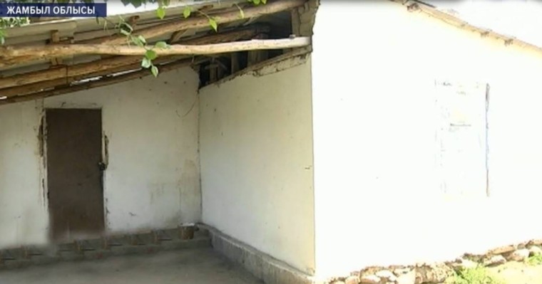 Жамбыл облысында Өзбекстан азаматы екі әйелді бауыздап өлтіріп кетті - Қазақстан жаңалықтары