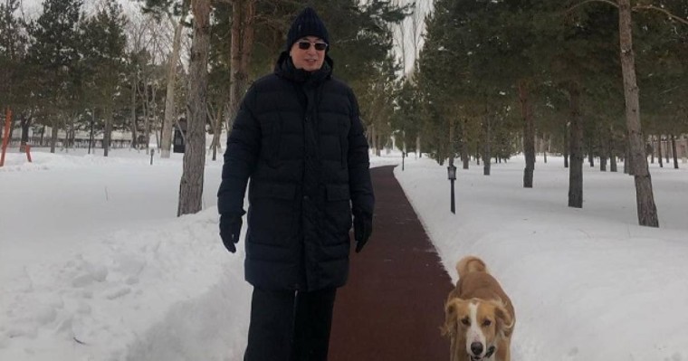 Тазы иттермен серуендеп жүрген Тоқаев жұрттың ықыласына бөленді (фото)