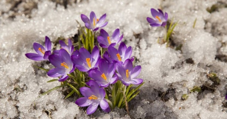 8 наурыз күнгі ауа райы болжамы