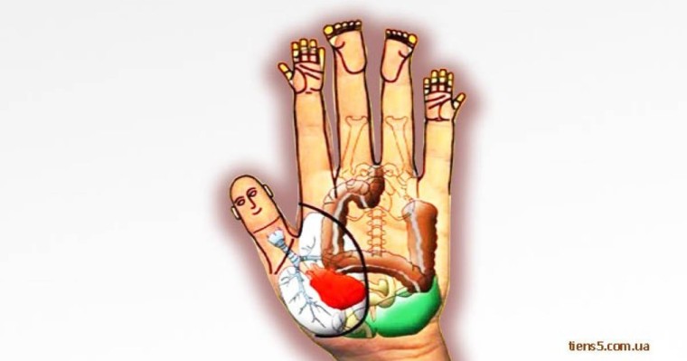 Алақанға қарап ауруды анықтауға болады