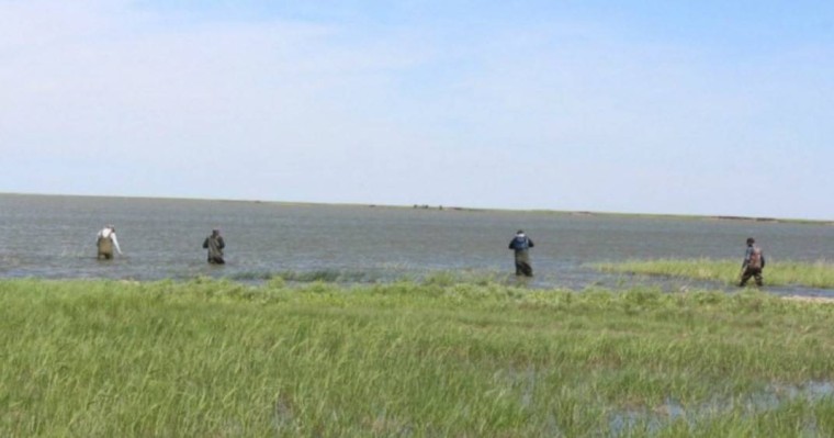 17 жастағы студенттің жоғалуы: әкімге қатысты қызметтік тергеу жүргізілуде - Қазақстан жаңалықтары