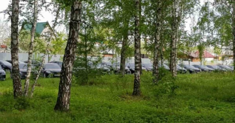 Орманнан қараусыз қалған 50-ден астам жап-жаңа Toyota Camry автокөлігі табылды - Қазақстан жаңалықтары