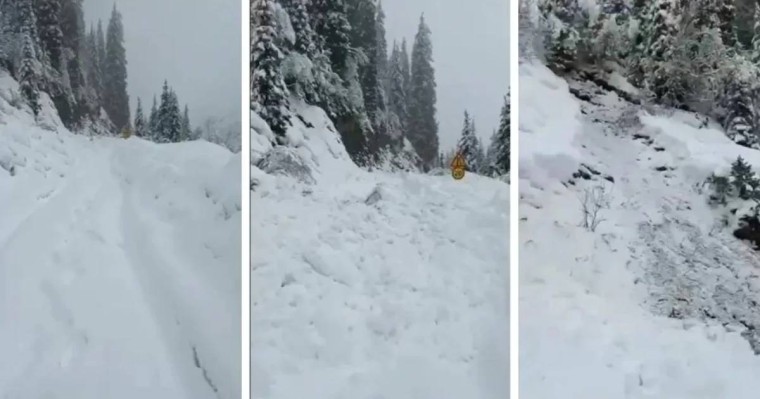 Алматы облысында тас жолға қар көшкіні құлады (видео)