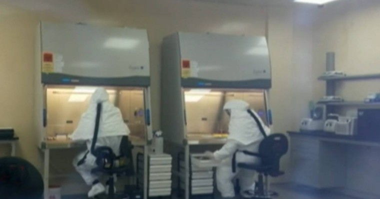 COVID-19-ға қарсы қазақстандық вакцинаны бірінші болып жануарларда сынайды - Қазақстан жаңалықтары