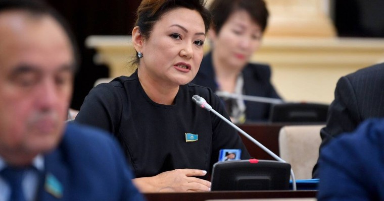 Дана Нұржігіт: Кейбір бағдарламалар ұлттық ұстанымдарымызға сай келмейді