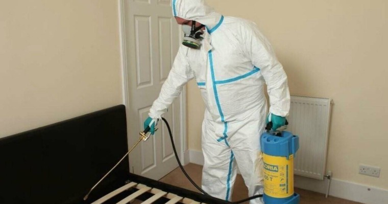 ДДСҰ коронавирустан қорғанудың танымал әдісін зиянды деп атады - Қазақстан жаңалықтары