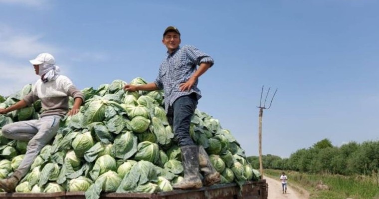 Оңтүстіктің қырыққабаты Беларуське экспорттала бастады