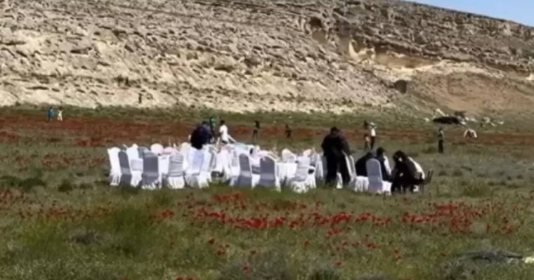 Маңғыстауда қалың қызғалдақтың ортасына дастархан жайғандар жұрттың ашуын туғызды