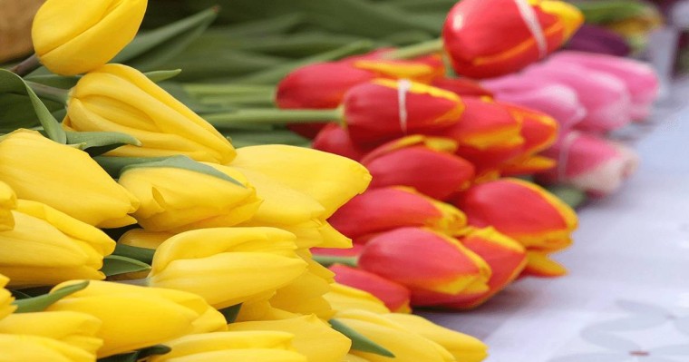 Жыл басынан бері елімізге 640 тоннаға жуық гүл әкелінген