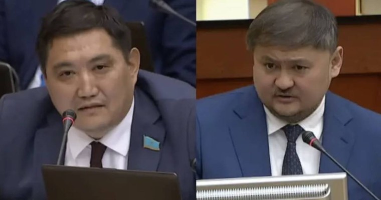 "Сөздеріңіз әдемі өлең сияқты": депутат министрді мақтады