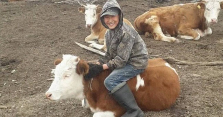 Путиннен сиыр сұраған якутиялық бала «сиырлы» болды