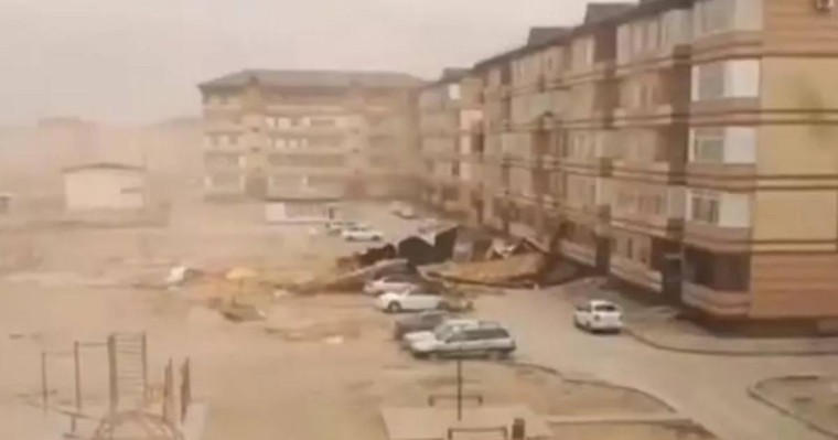 Таразда жел әсерінен үйлердің шатыры ұшып, ағаштар құлады (видео)