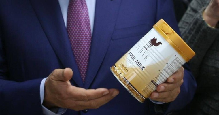 Алматы облысында түйе сүтін өңдейтін зауыт іске қосылды