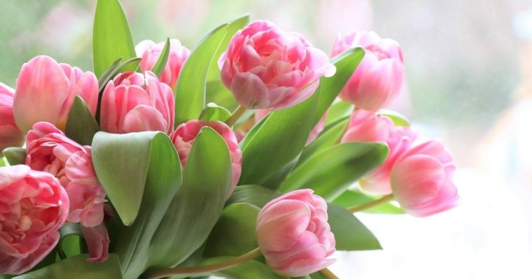 Көпбалалы аналар 8 наурызға орай қаржылай көмек алады