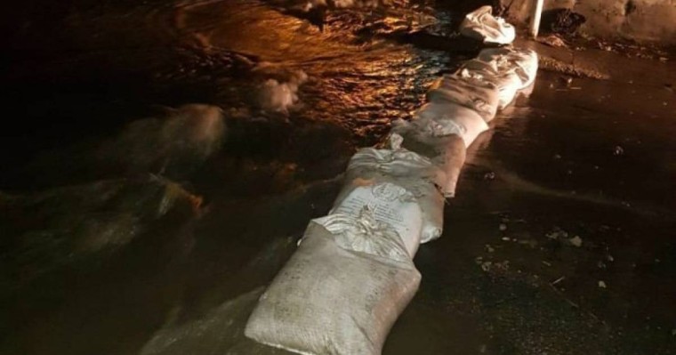 Алматыдағы жаңбырдың салдары: ағаштар құлап, көшелерді су басты - Қазақстан жаңалықтары