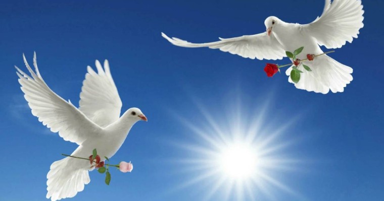 Құндылық бағдарлар - адам өмірінің бағдаршамы