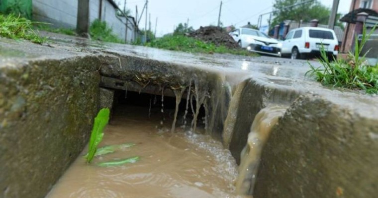 Сел салдарымен күресте "Мақтаарал тәжірибесін" пайдаланамыз – Шөкеев