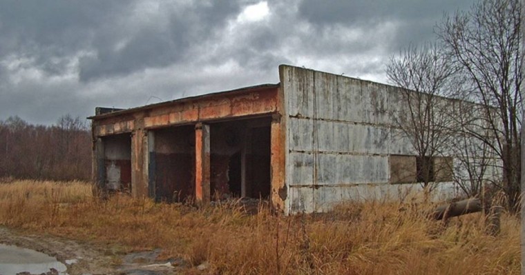 Теміртаудан маугли-бала табылды