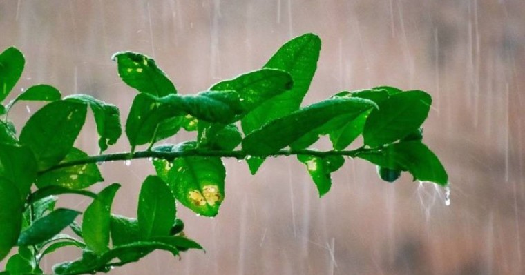 14, 15, 16 мамыр ауа райы: Алматы, Шымкент, Нұр-Сұлтан