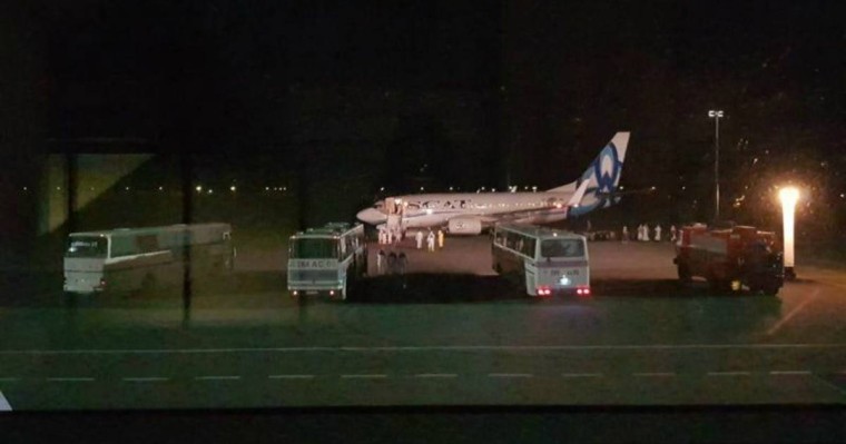 Павлодарға Токио мен Сеулден 156 қазақстандық жеткізілді - Қазақстан жаңалықтары