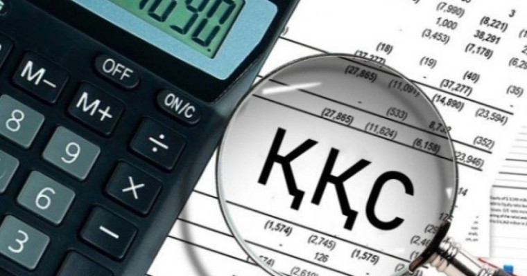 Қазақстандағы ҚҚС экономика мен кәсіпкерлер үшін қаншалықты тиімді?