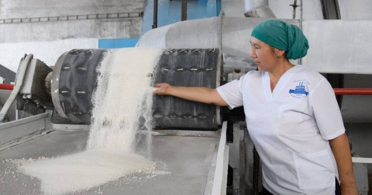 Ақсу, Көксу қант зауыттарының қуаты жалпы 1 млн 100 мың тоннаға жеткізіледі