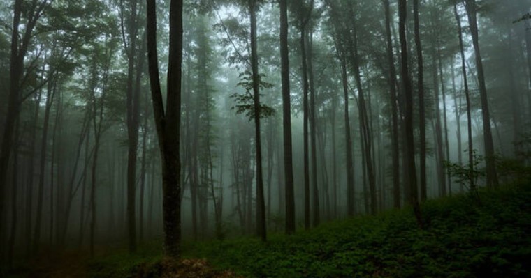 Алматы облысында бір отбасының 6 адамы жоғалып кеткен