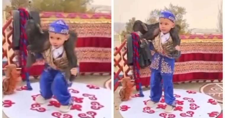 “Болашақ палуан”: Маңғыстау облысында қозыны 30 рет көтеріп тұрған 4 жасар бүлдіршін жұртты тәнті етті (видео)