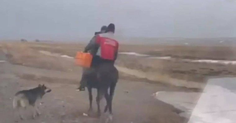 Жетісуда фельдшер жедел жәрдем шақырған науқасқа атпен жеткен (видео)