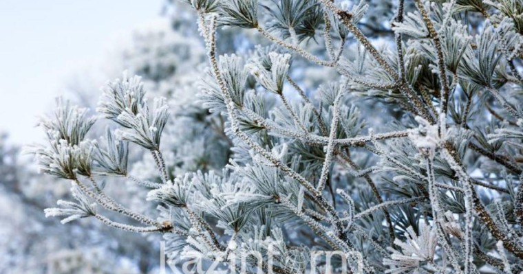 Жаңа 2021 жылға арналған құттықтау