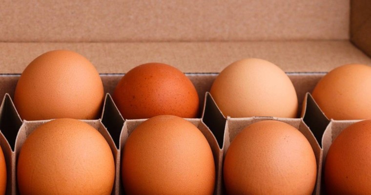 Қазақстанда жұмыртқа бағасы шарықтап кетті: 10 данасы 600 теңге