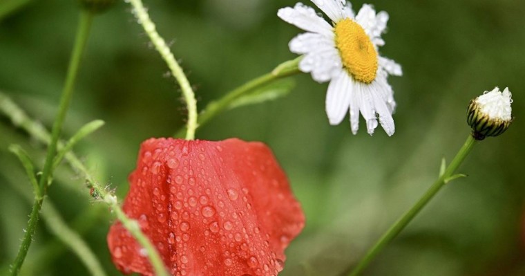 Демалыс күндерге ауа райы болжамы