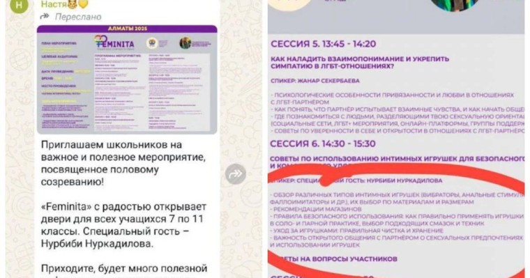 "Оқушыларға секс ойыншықтарын қолдануды үйретпек": Желіде “Феминита" ұйымына қатысты тағы да дау туды