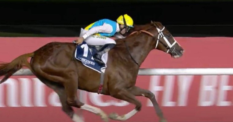 Дубайдағы бәйге - Кабирхан тағы топ жарды