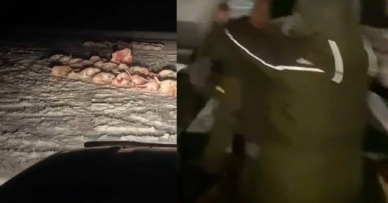 Ұлытауда ауыл жігіттерінің Охотзоопром қызметкерлерімен төбелесі үлкен дауға ұласты