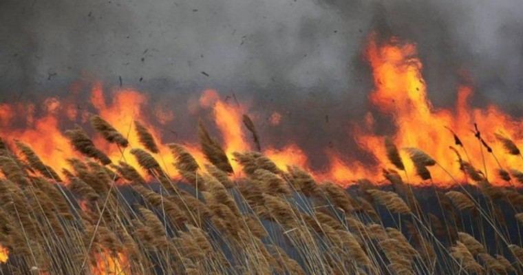 Тағы да өрт: Каспий жағалауы жанып жатыр