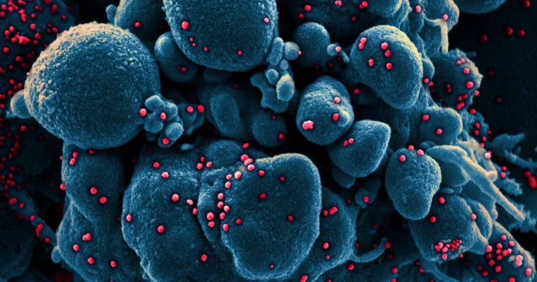 Ғалымдар коронавирус қалай таралатынын видео арқылы көрсетті