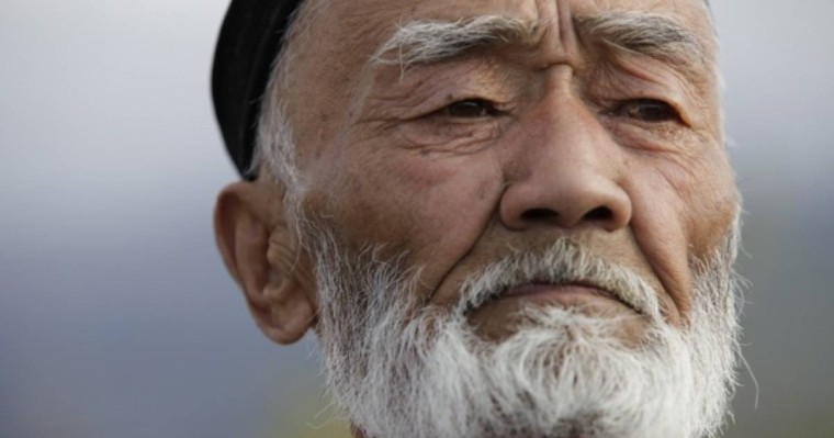 Канадалық профессор: Қазақтардың қарияларын ешқашан жалғызсыратпайтынына риза болдым