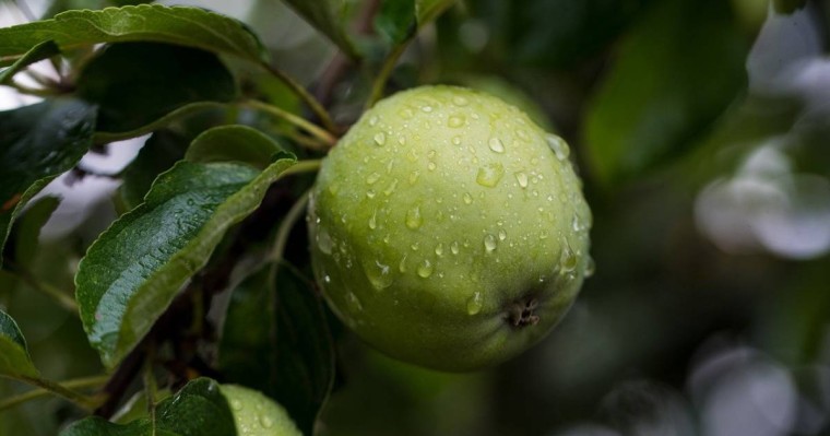 Көктайғақ болып, жаңбыр жауады. Алдағы үш күнге ауа райы болжамы