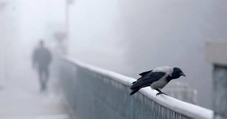 Елімізде алты облыс аумағында ауа райына байланысты ескерту жарияланды