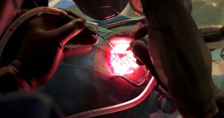 Пәтердегі жөндеу жұмыстары мен құлаққа жасалатын операциялардың арасында қандай ұқсастық бар?