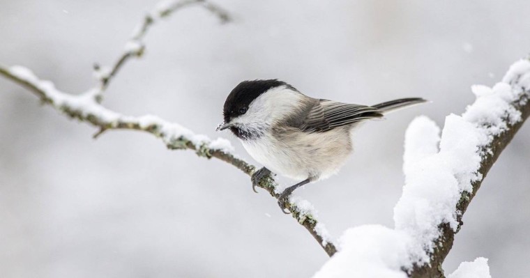 Демалыс күндері 40 градусқа дейін күн суытады