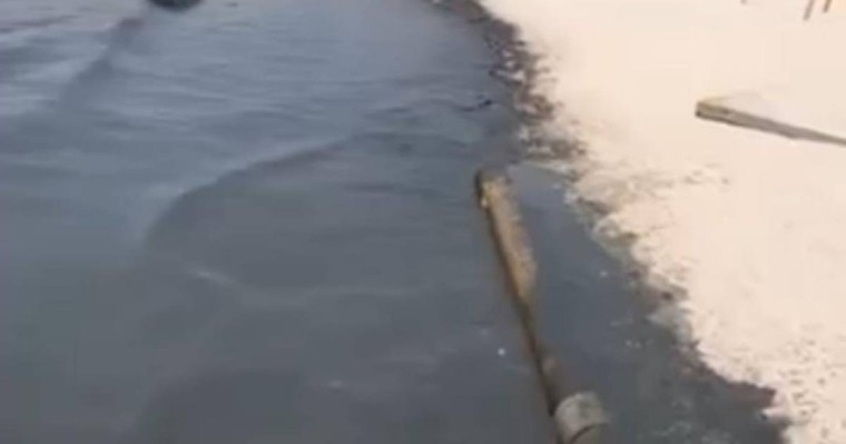 Каспий теңізі қара түске боялды