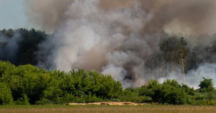 Қостанай облысындағы өртке байланысты орман шаруашылығы директоры қамауға алынды