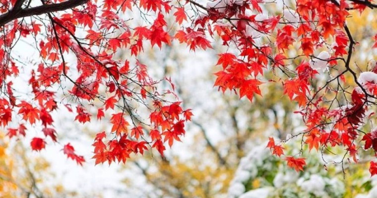 13 қазан күнгі ауа райы болжамы