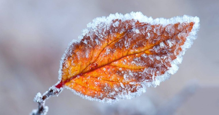 11 қазанда Қазақстанның бірнеше облысында үсік жүреді