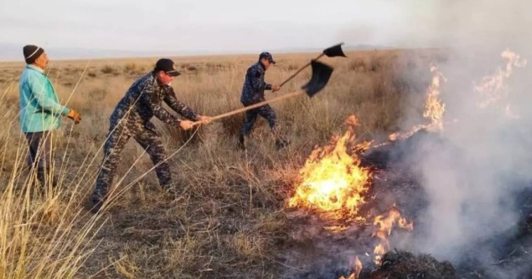 Абай облысы Үржар ауданында алапат өрт болып жатыр (фото)