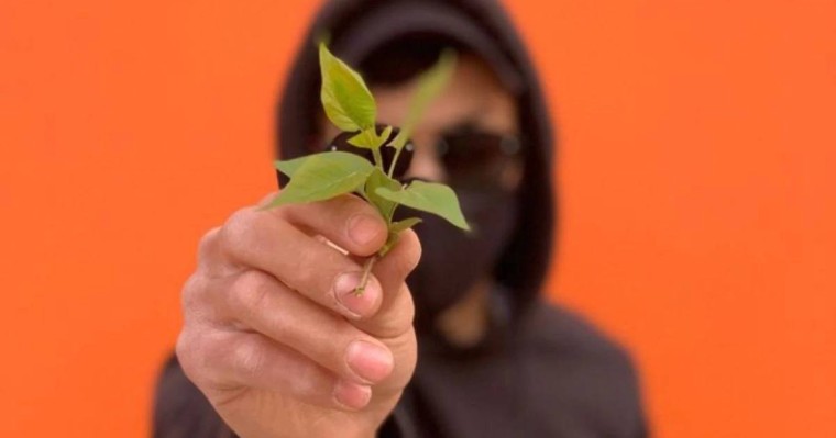 Бетперде таққан адам "Жыл адамы 2023" мәртебесіне ие болды