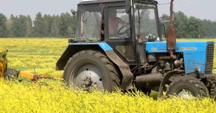 Ақтөбе облысында мас тракторшы әйелді екі рет басып өлтірген